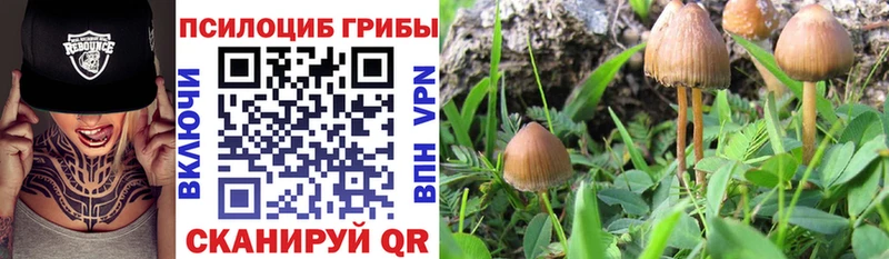 Псилоцибиновые грибы Psilocybine cubensis  ссылка на мегу   Островной 